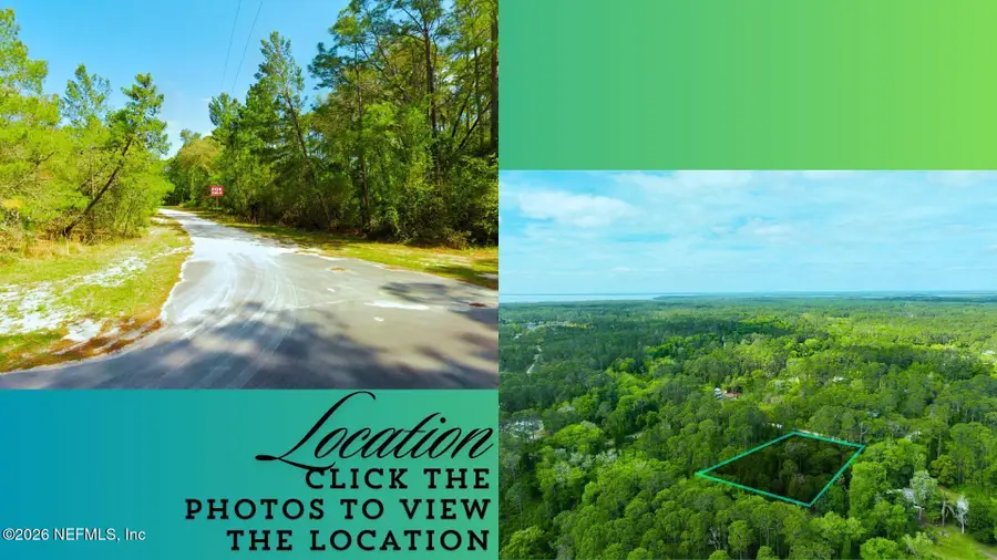 102 Hyacinth Court, Georgetown, FL 32139 - #3