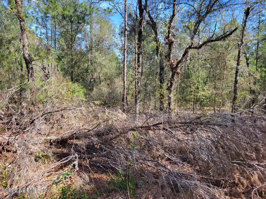 6040 Furman Avenue, Keystone Heights, FL 32656 - #2