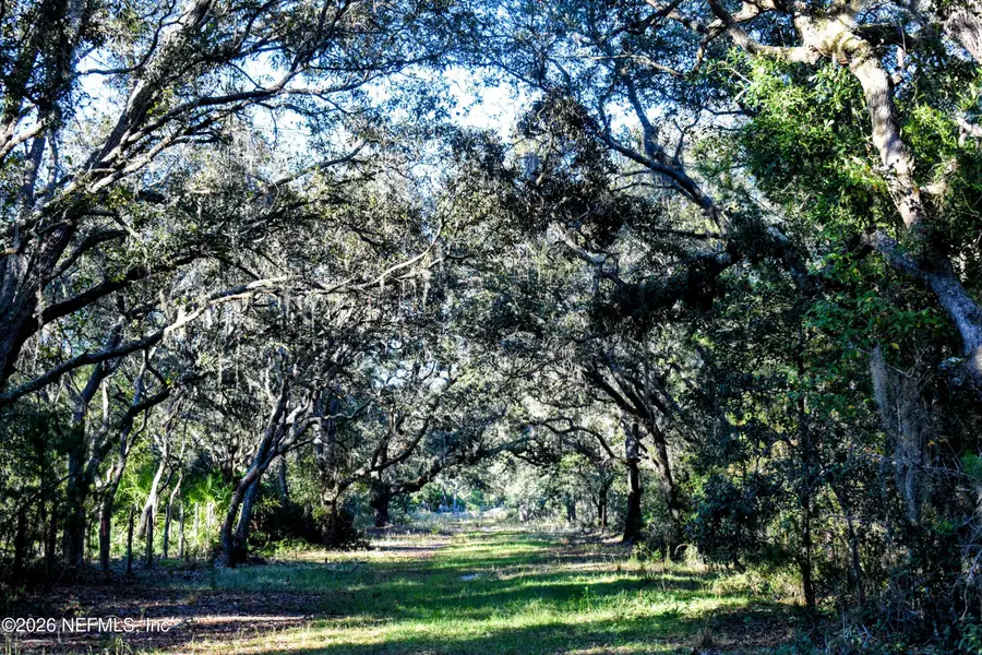 224 Rodeo Drive, Interlachen, FL 32148 - #2