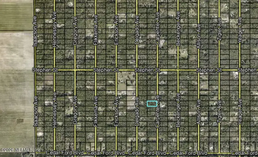 10265 Carpenter Avenue, Hastings, FL 32145 - #2