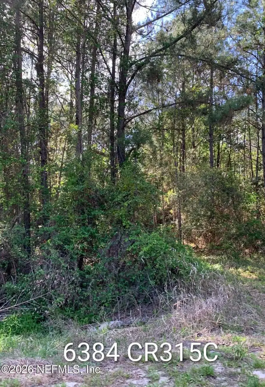 6384 County Road 315, Keystone Heights, FL 32656 - #2