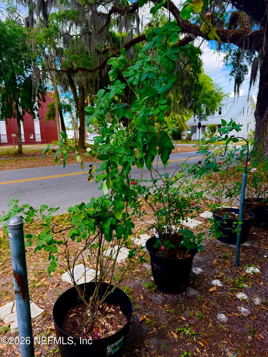 503 Laurel Street, Palatka, FL 32177 - #3