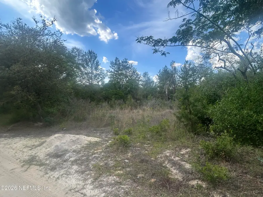 0 NE 233rd Place, Fort McCoy, FL 32134 - #3