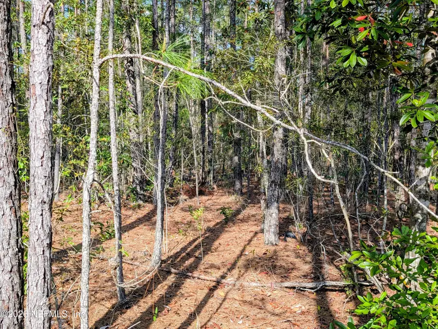 0 NE Us Hwy 301, Waldo, FL 32694 - #3