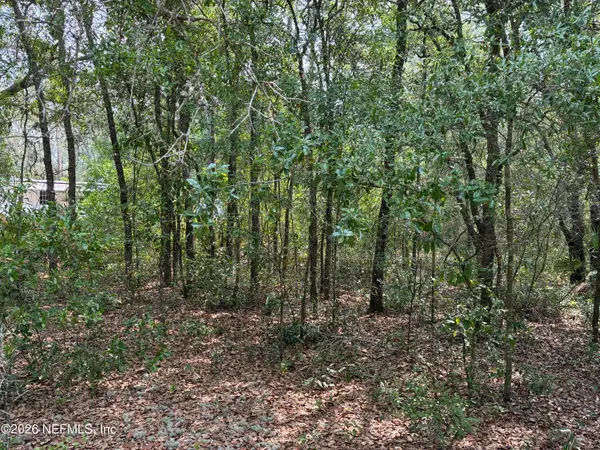 176 Maple Lane, Interlachen, FL 32148