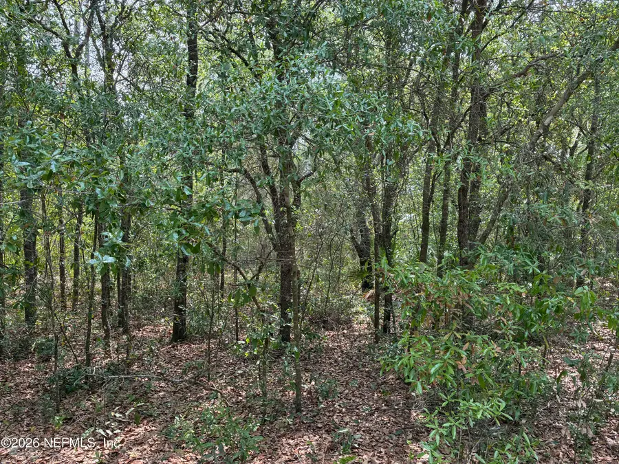 176 Maple Lane, Interlachen, FL 32148 - #2