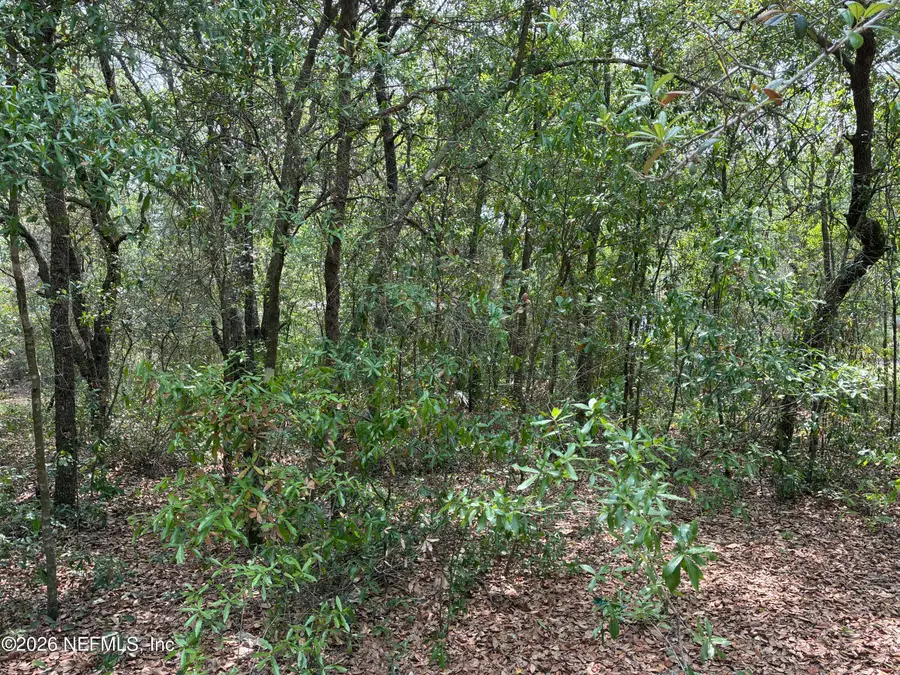 176 Maple Lane, Interlachen, FL 32148 - #3