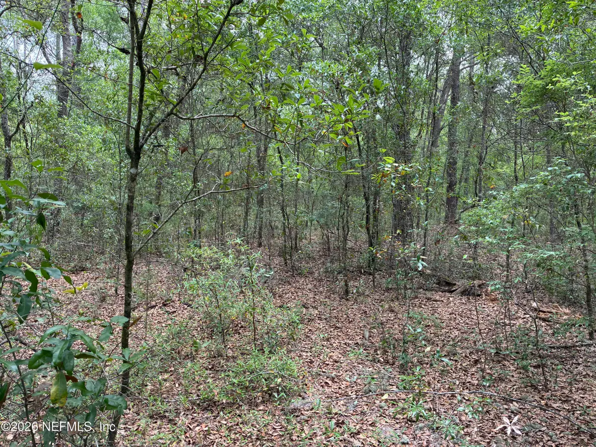 XXX Kennedy Avenue, Interlachen, FL 32148 - #1