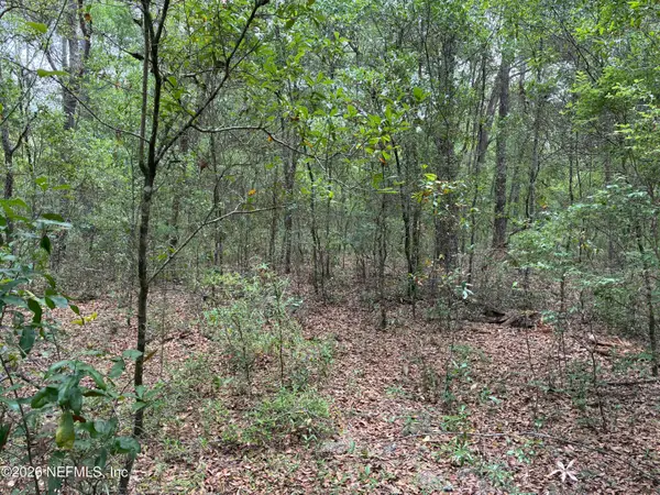 XXX Kennedy Avenue, Interlachen, FL 32148