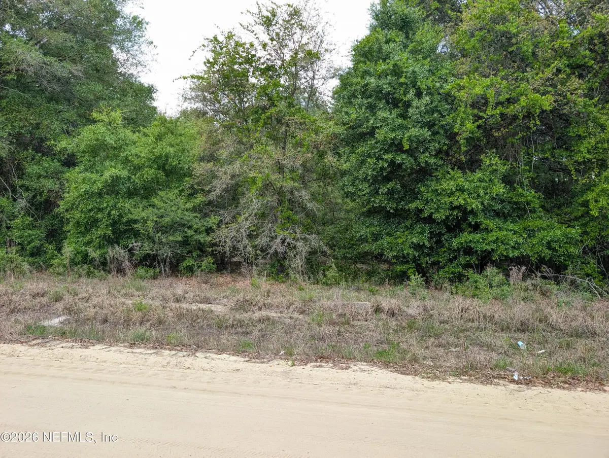 0060 Maltas Ave, Interlachen, FL 32148 - #1