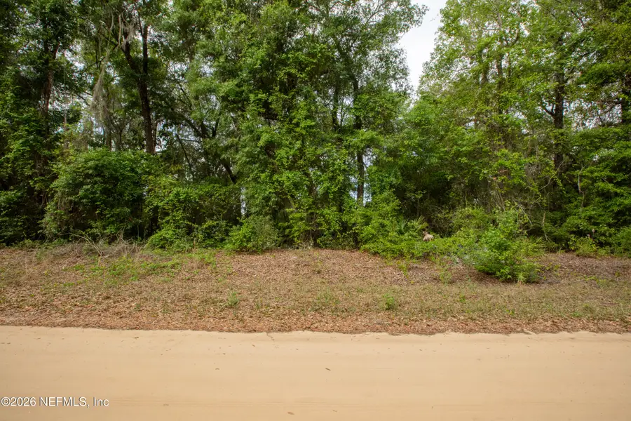 141 Fishermans Drive, Interlachen, FL 32148 - #2