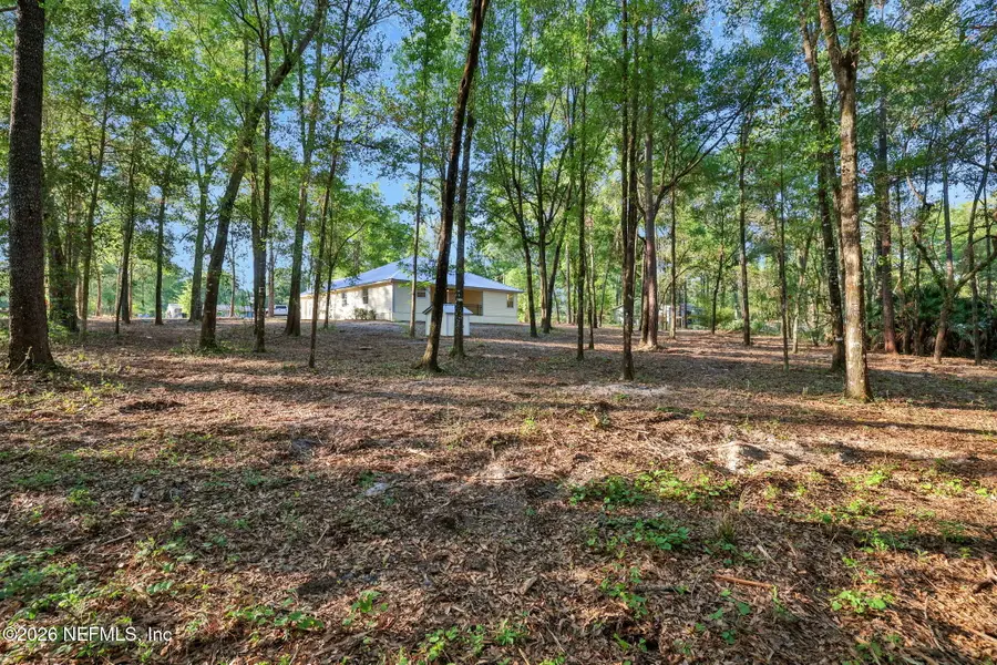 2830 Tansy Avenue, Middleburg, FL 32068 - #3