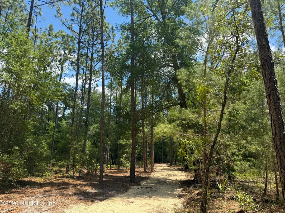 XXX Leisure Place, Interlachen, FL 32148 - #1