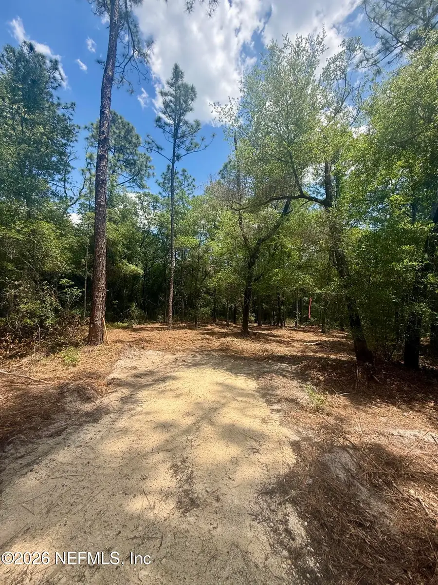 XXX Leisure Place, Interlachen, FL 32148 - #3