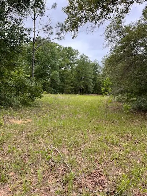 0 Milton Avenue, Interlachen, FL 32148