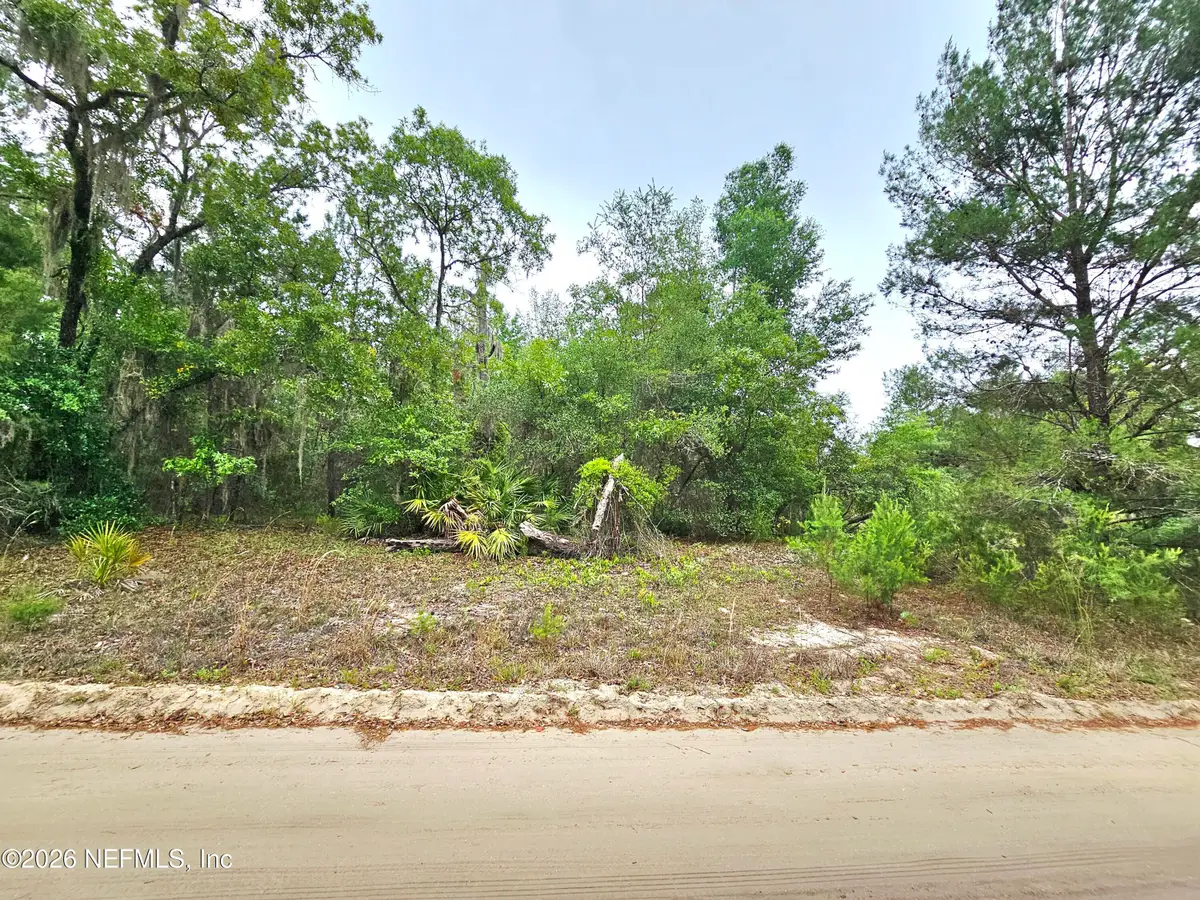 302 Rainbow Drive, Florahome, FL 32140 - #1