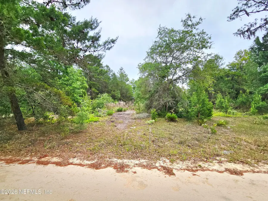 302 Rainbow Drive, Florahome, FL 32140 - #2