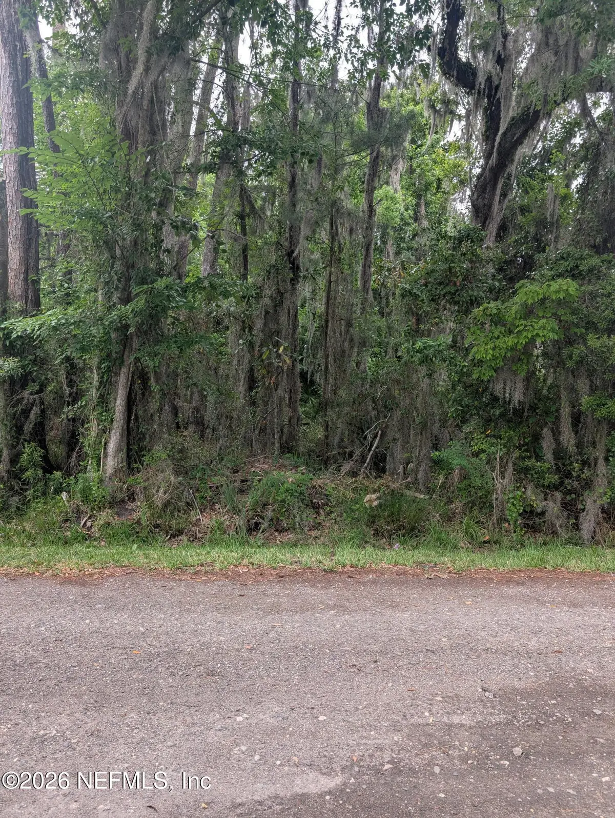 5219 Chicory Circle, Middleburg, FL 32068 - #1