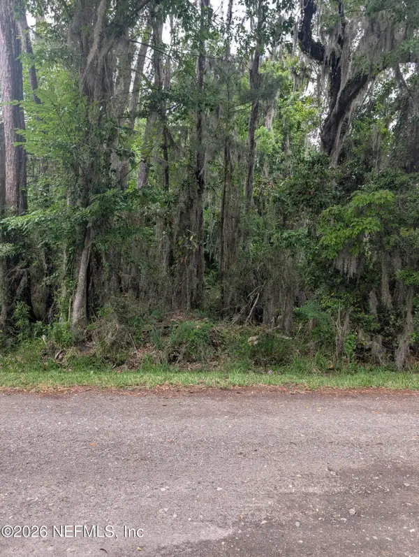 5219 Chicory Circle, Middleburg, FL 32068