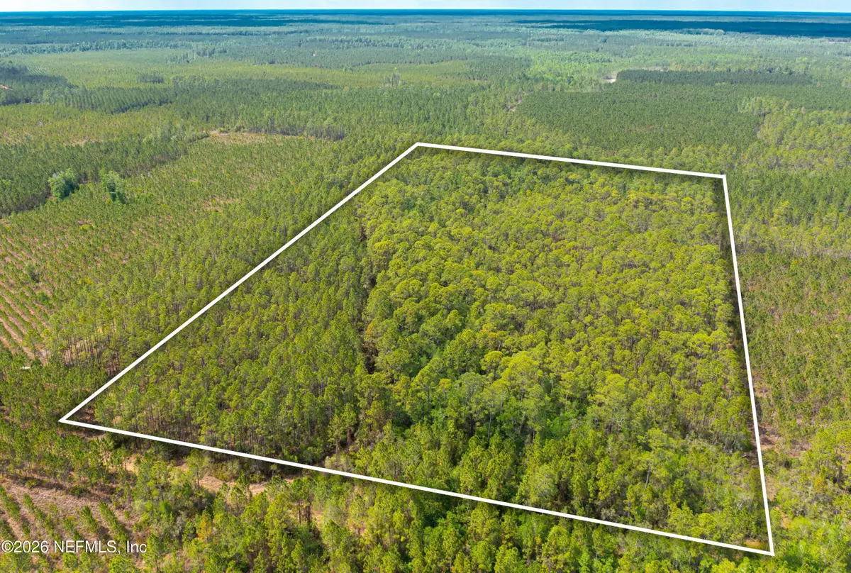 0 County Road 229, Sanderson, FL 32087 - #1