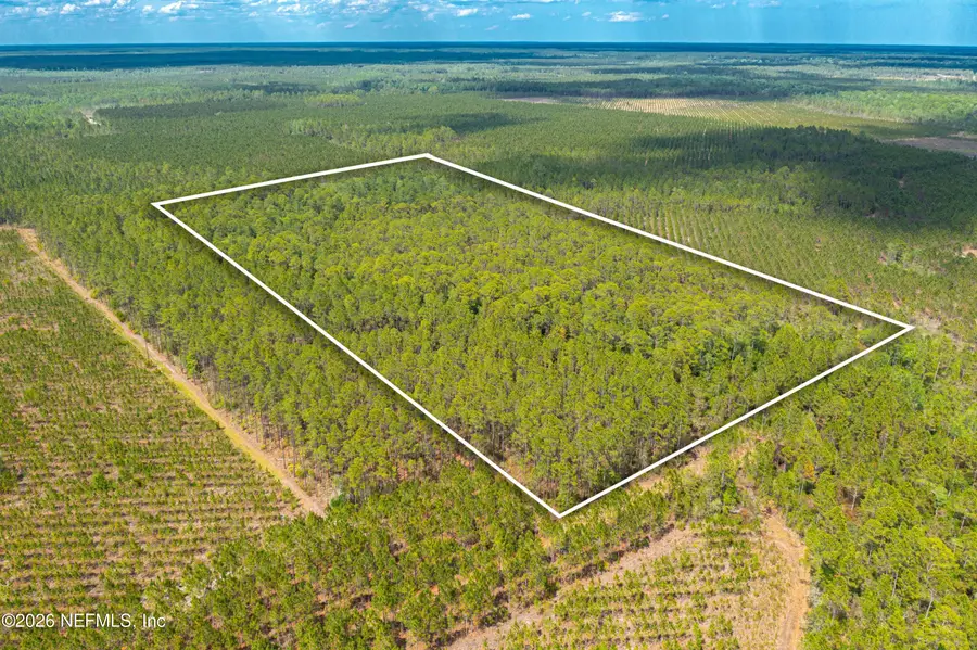 0 County Road 229, Sanderson, FL 32087 - #2