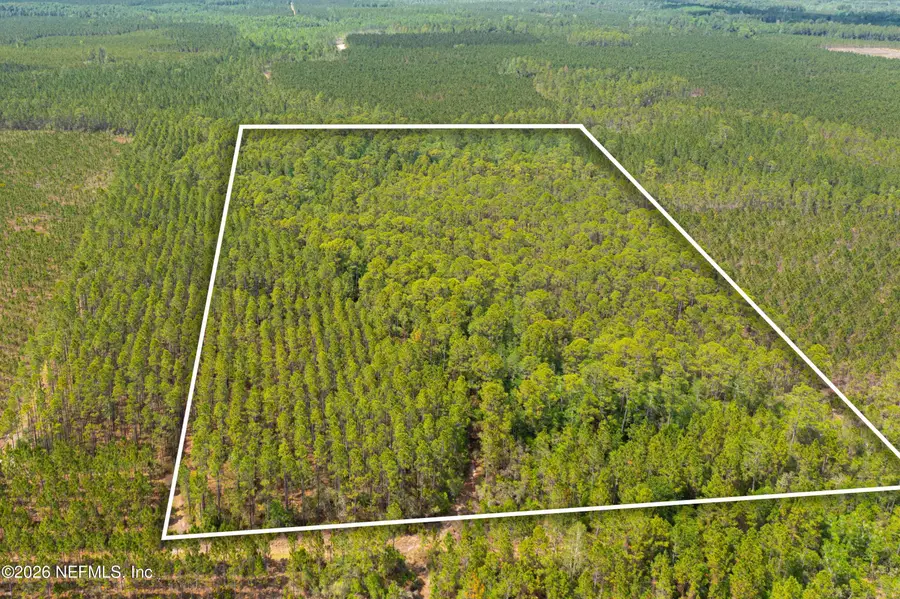 0 County Road 229, Sanderson, FL 32087 - #3