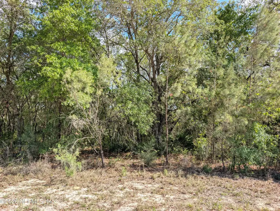 5535 Lassen Street, Keystone Heights, FL 32656 - #2