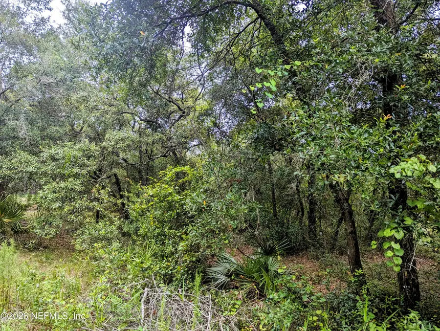 5572 Deerlodge Court, Keystone Heights, FL 32656 - #3