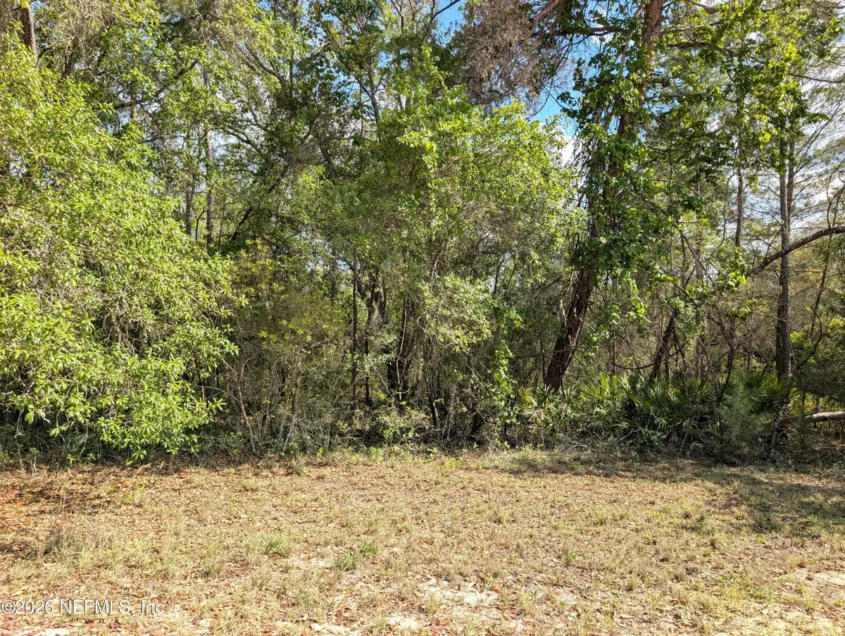 5813 Bryce Street, Keystone Heights, FL 32656 - #1