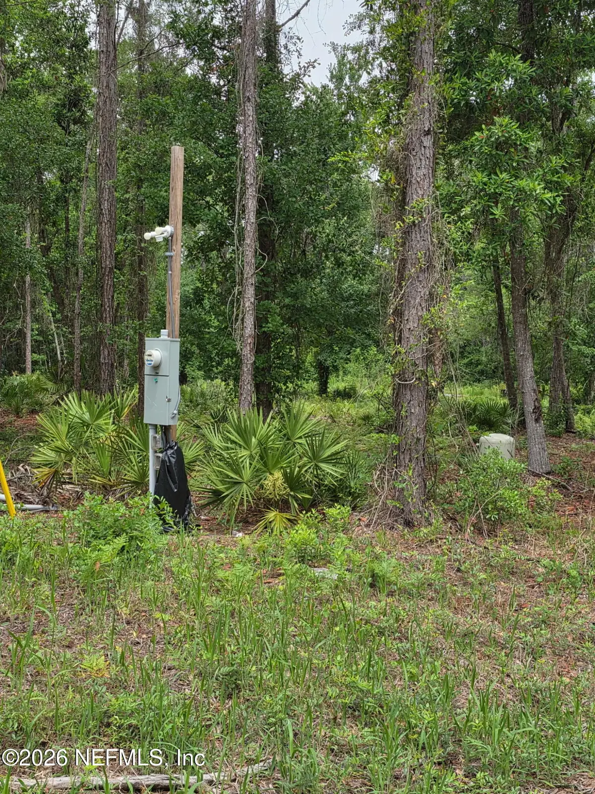 109 Anne Boulevard, Georgetown, FL 32139 - #1