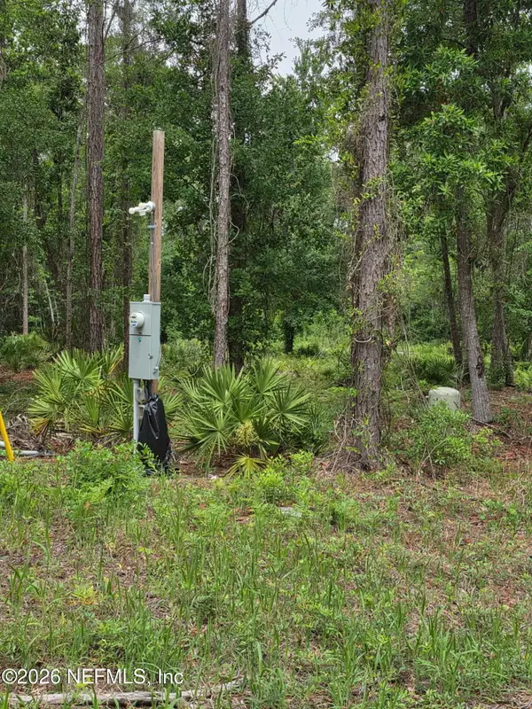 109 Anne Boulevard, Georgetown, FL 32139