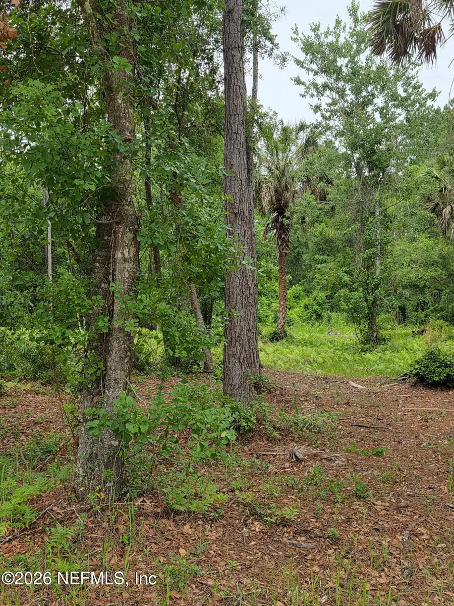 109 Anne Boulevard, Georgetown, FL 32139 - #2
