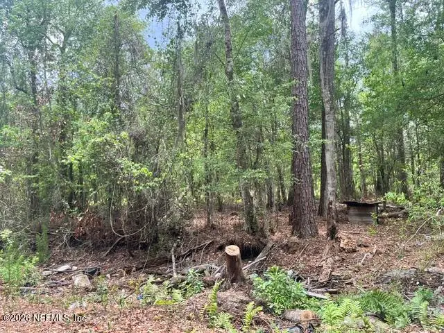 10891 NW County Road 229, Starke, FL 32091 - #3