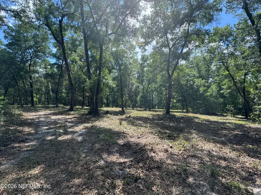 241 Indian Lakes Forest Road, Florahome, FL 32140 - #3