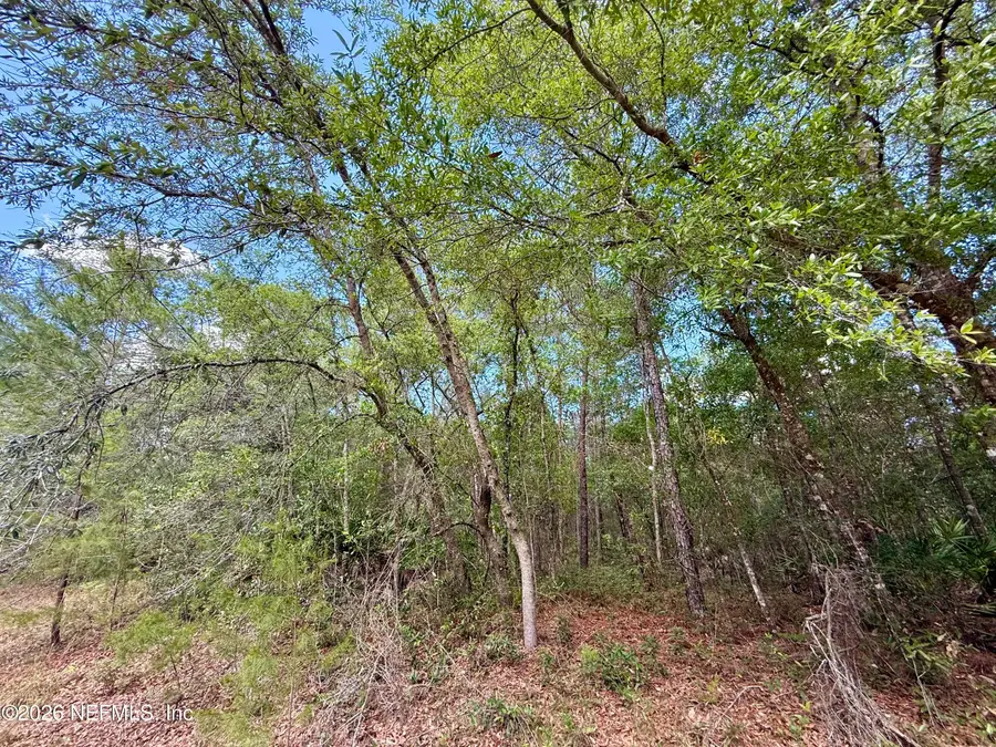 0140 Usina Avenue, Interlachen, FL 32148 - #2