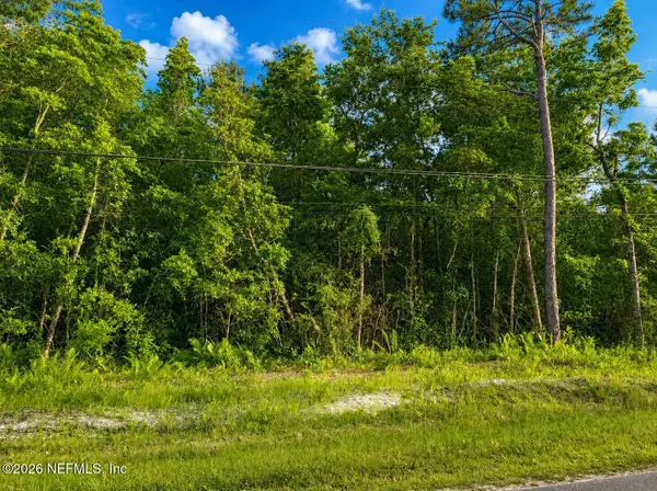 4311 Angora Street, Middleburg, FL 32068