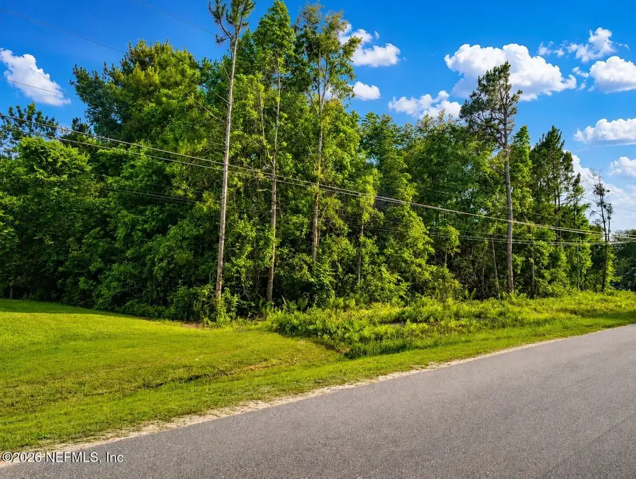 4311 Angora Street, Middleburg, FL 32068 - #2