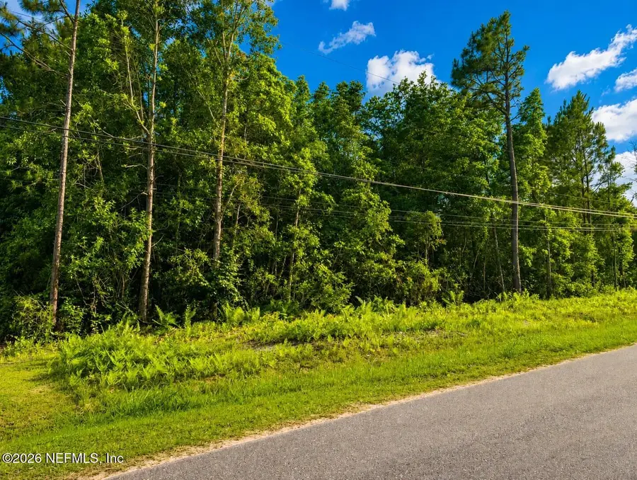 4311 Angora Street, Middleburg, FL 32068 - #3
