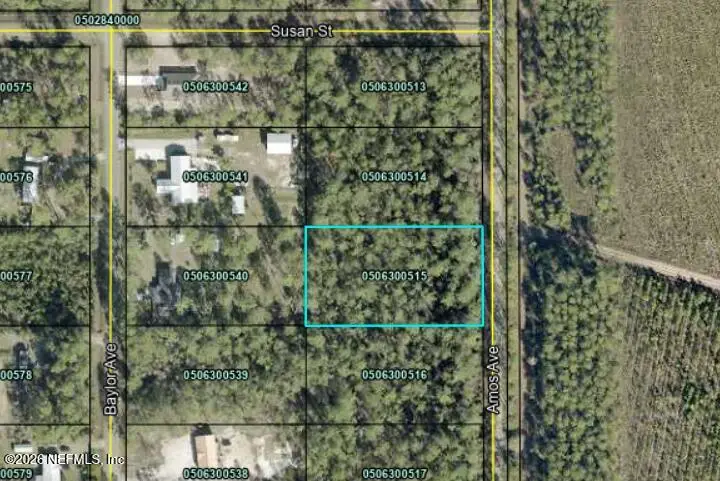 10225 Amos Avenue, Hastings, FL 32145 - #1