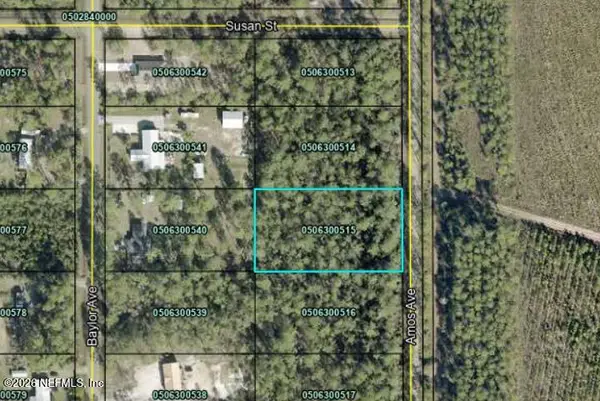 10225 Amos Avenue, Hastings, FL 32145