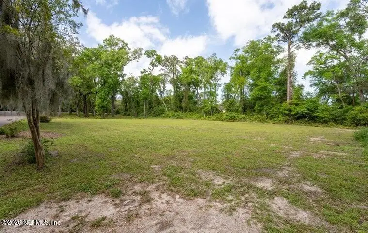 1027 Doctors Lake Inlet Cove, Orange Park, FL 32073 - #2