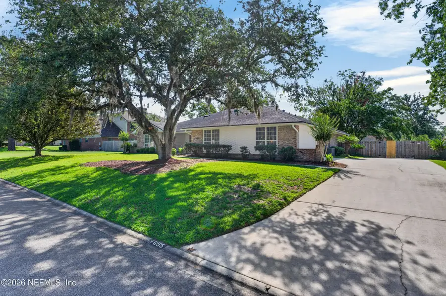 655 Fingal Drive, Orange Park, FL 32073 - #3