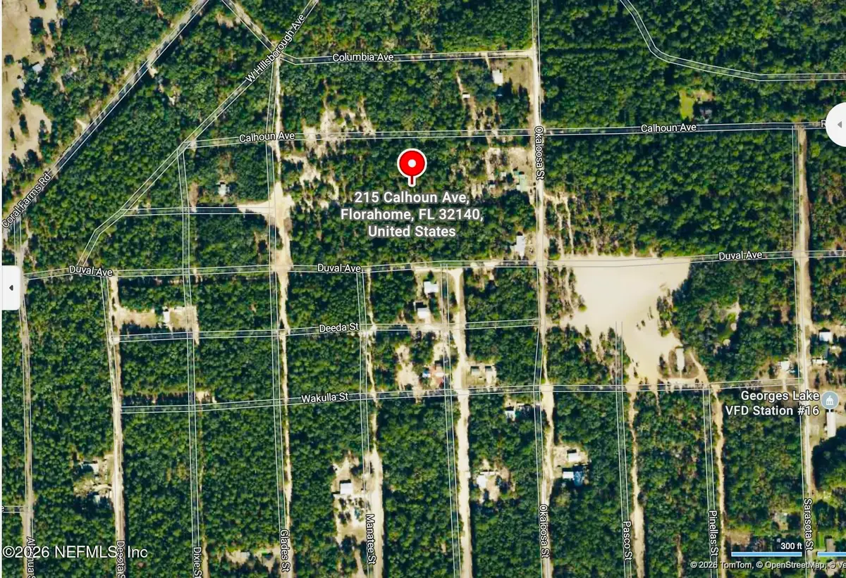 215 Calhoun Avenue, Florahome, FL 32140 - #1