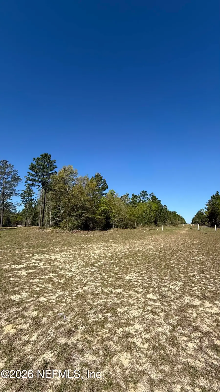 0 Mulberry Street, Interlachen, FL 32148 - #3