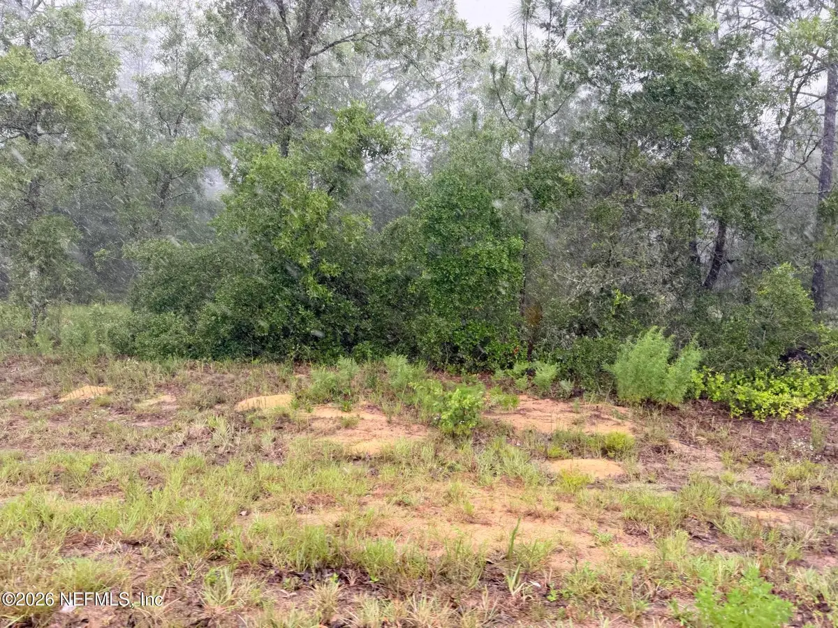 5628 County Road 214, Keystone Heights, FL 32656 - #1