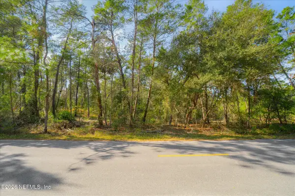 1027 Pineapple Street, Welaka, FL 32181
