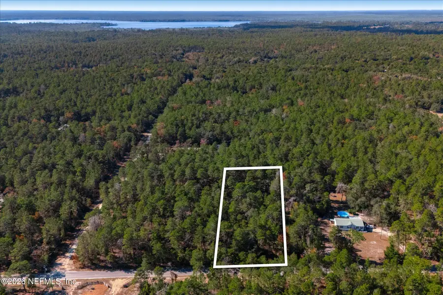 1027 Pineapple Street, Welaka, FL 32181 - #2