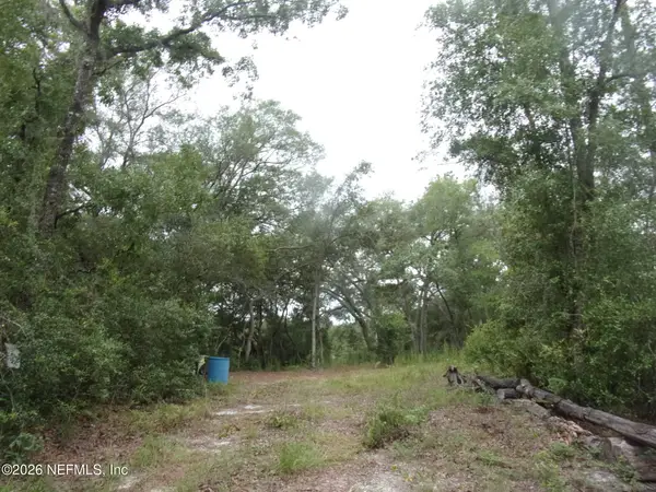 164 Lake Circle, Satsuma, FL 32189