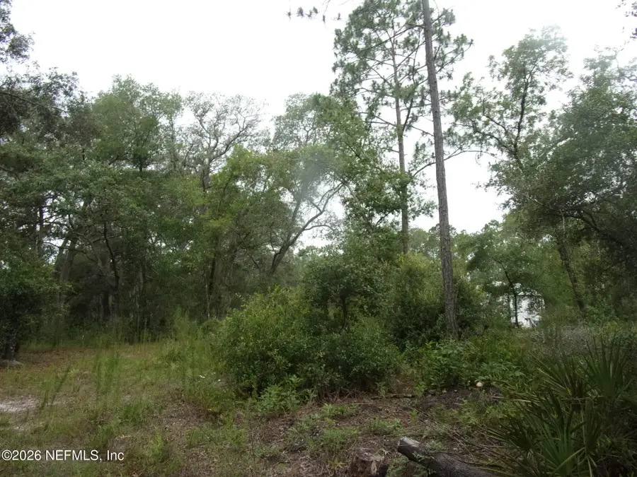 164 Lake Circle, Satsuma, FL 32189 - #3