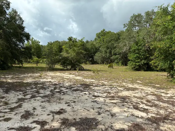 0220 Chesser Monroe Road, Hawthorne, FL 32640